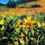 Crested Butte - Brush Creek Trail Flowers