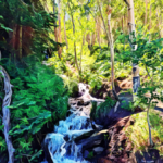 Crested Butte - Brush Creek Trail