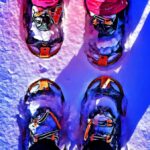 Steamboat Springs - Snowshoeing