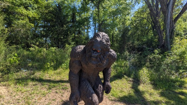 Jefferson Texas Sasquatch