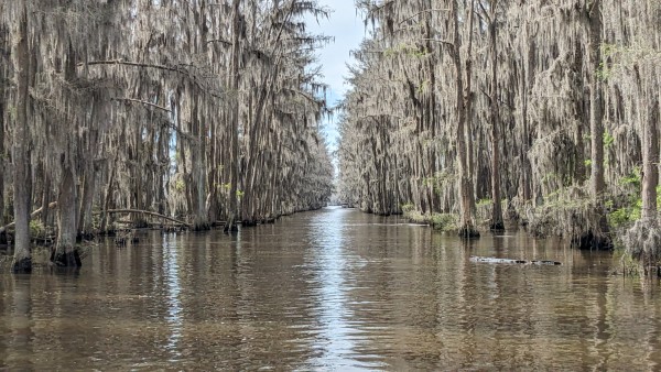 Caddo Lake Texas