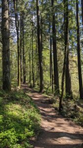 Mount Talbert Nature Park