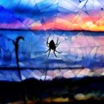 West Seattle - Spider and Sunset