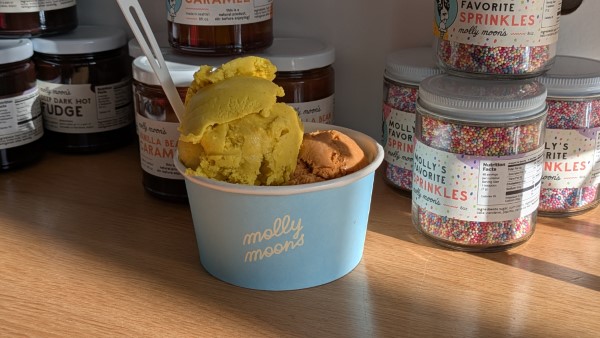 Molly Moon's Ice Cream Double Scoop