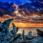 West Seattle - Weather Watch Park - Sunset and Driftwood