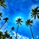 Honolulu - Beach Time