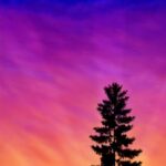 Sunset in the Pacific Northwest